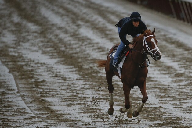 Madefromlucky, with exercise rider Patti Krotenko up, works out on a sloppy track at Belmont Park, Wednesday, June 3, 2015, in Elmont, N.Y. Madefromlucky is expected to run in Saturday's147th running of the Belmont Stakes horse race, when American Pharoah will try for a Triple Crown. (AP Photo/Julie Jacobson)