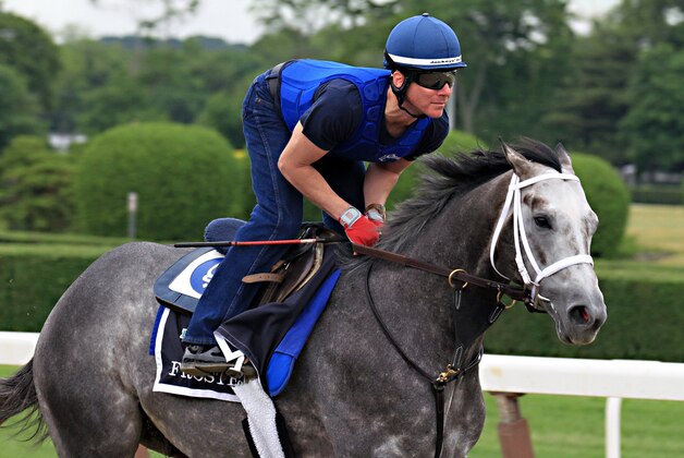 Exercise rider Lorenzo Moralez gallops Belmont Stakes entrant Frosted at Belmont Park race track in Elmont, NY, Thursday, June 4, 2015.  (AP Photo/Garry Jones)