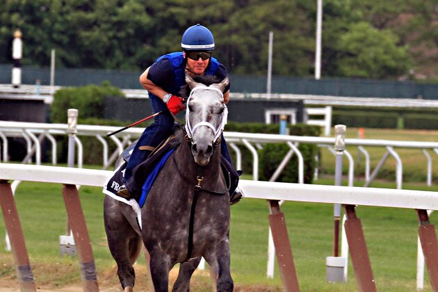 Exercise rider Lorenzo Moralez gallops Belmont Stakes entrant Frosted at Belmont Park race track in Elmont, NY, Thursday, June 4, 2015.  (AP Photo/Garry Jones)