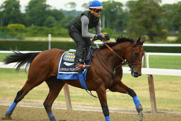 ELMONT, NY - JUNE 04:  Jorge Alvarez up, rides American Pharoah during training at Belmont Park on June 4, 2015 in Elmont, New York.  (Photo by Al Bello/Getty Images)