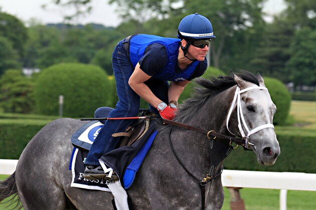 Exercise rider Lorenzo Moralez gallops Belmont Stakes entrant Frosted at Belmont Park race track in Elmont, NY, Thursday, June 4, 2015.  (AP Photo/Garry Jones)