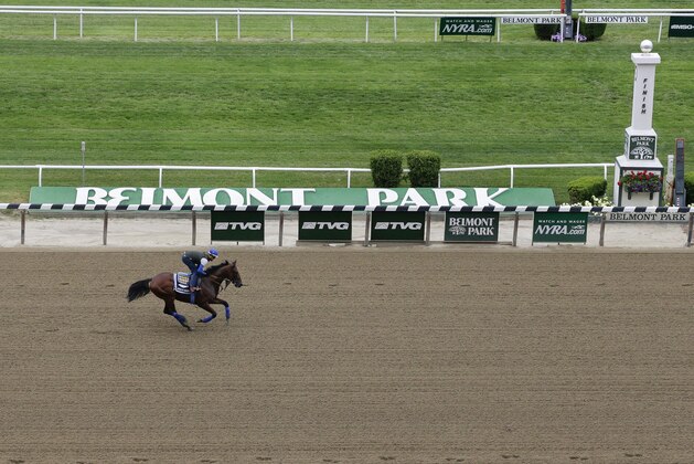 Kentucky Derby and Preakness Stakes winner American Pharoah, with exercise rider Jorge Alvarez up, gallops around the track at Belmont Park, Friday, June 5, 2015, in Elmont, N.Y. American Pharoah will try for a Triple Crown when he runs in Saturday's 147th running of the Belmont Stakes horse race. (AP Photo/Julie Jacobson)
