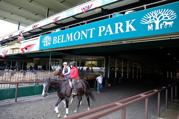 ELMONT, NY - JUNE 05:  A horse is led out of the paddock during workouts prior to the 147th Belmont Stakes at Belmont Park on June 5, 2015 in Elmont, New York.  (Photo by Rob Carr/Getty Images)