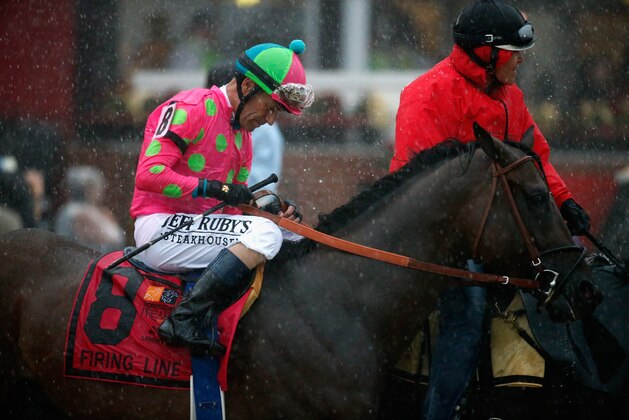 BALTIMORE, MD - MAY 16: Firing Line #8 ridden by Gary L. Stevens walks in the post parade prior to the 140th running of the Preakness Stakes at Pimlico Race Course on May 16, 2015 in Baltimore, Maryland.  (Photo by Rob Carr/Getty Images)