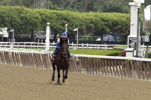 Exercise rider Jorge Alvarez gallops American Pharoah down the stretch at Belmont Park race track, Friday, June 5, 2015, in Elmont, N.Y,, as the colt prepares for the 147th Belmont Stakes horse race on Saturday. (AP Photo/Garry Jones)
