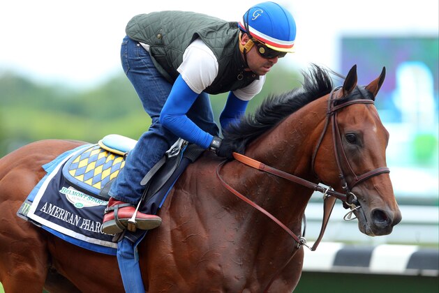 Jun 5, 2015; Elmont, NY, USA; American Pharoah trains the day before the 2015 Belmont Stakes at Belmont Park. Mandatory Credit: Brad Penner-USA TODAY Sports