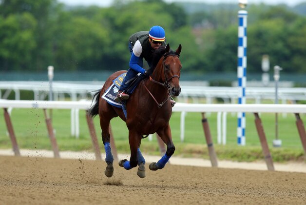 Jun 5, 2015; Elmont, NY, USA; American Pharoah trains the day before the 2015 Belmont Stakes at Belmont Park. Mandatory Credit: Brad Penner-USA TODAY Sports