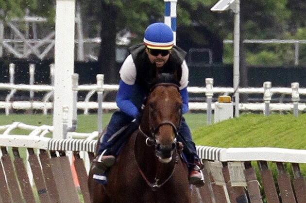 Kentucky Derby and Preakness Stakes winner American Stakes Pharoah, with exercise rider Jorge Alvarez up, gallops around the track at Belmont Park, Friday, June 5, 2015, in Elmont, N.Y. American Pharoah will try for a Triple Crown when he runs in Saturday's 147th running of the Belmont Stakes horse race.  (AP Photo/Garry Jones)