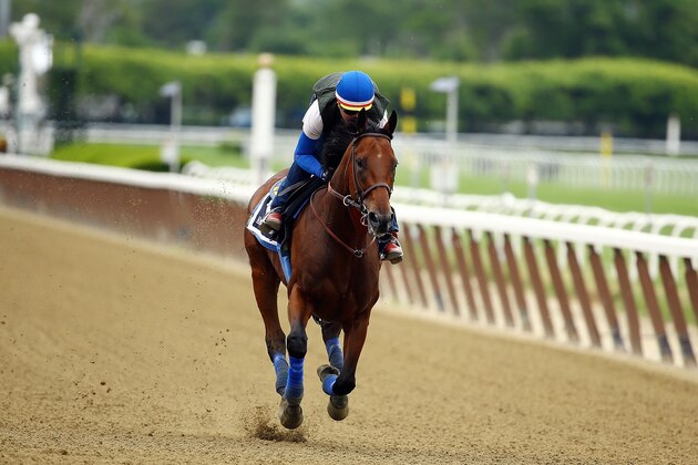 ELMONT, NY - JUNE 05:  Jorge Alvarez up, rides American Pharoah during workouts prior to the 147th Belmont Stakes at Belmont Park on June 5, 2015 in Elmont, New York.  (Photo by Al Bello/Getty Images)