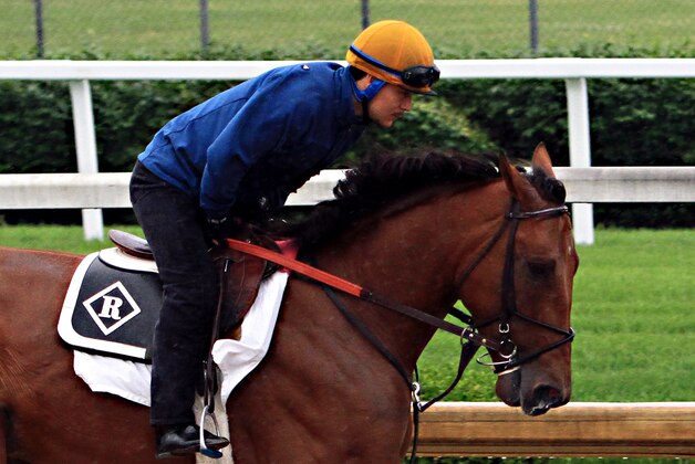 Belmont Stakes hopeful Keen Ice, ridden by exercise rider Faustino Aguilar, gallops at Churchill Downs in Louisville, Ky., Monday, June 1, 2015 as the Dale Romans-trainee prepares for the Belmont Stakes in New York on June 6.  (AP Photo/Garry Jones)