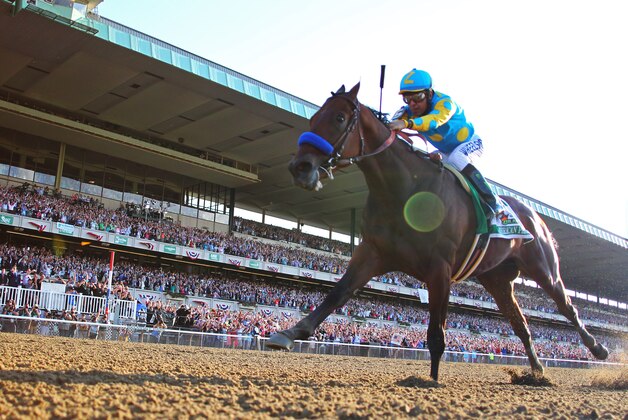 Jun 6, 2015; Elmont, NY, USA; Victor Espinoza aboard American Pharoah (5) goes on to win the 2015 Belmont Stakes and the Triple Crown at Belmont Park. Mandatory Credit: Anthony Gruppuso-USA TODAY Sports
