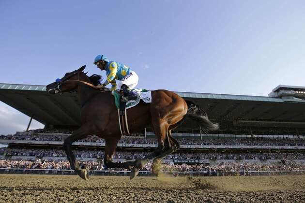 American Pharoah gallops past the grandstand with Victor Espinoza up after crossing the finish line to win the 147th running of the Belmont Stakes horse race at Belmont Park, Saturday, June 6, 2015, in Elmont, N.Y. American Pharoah is the first horse to win the Triple Crown since Affirmed won it in 1978. (AP Photo/Julio Cortez)