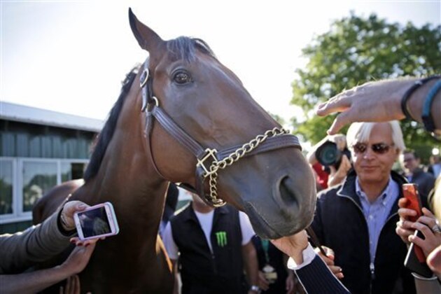 Members of the media touch and photograph Triple Crown winner American Pharoah at Belmont Park in Elmont, N.Y., Sunday, June 7, 2015. American Pharoah won the Belmont Stakes to become the first horse to win the Triple Crown in 37 years. (AP Photo/Seth Wenig)