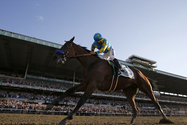 Victor Espinoza looks back after crossing the finish line with American Pharoah to win the 147th running of the Belmont Stakes horse race at Belmont Park, Saturday, June 6, 2015, in Elmont, N.Y. (AP Photo/Julio Cortez)