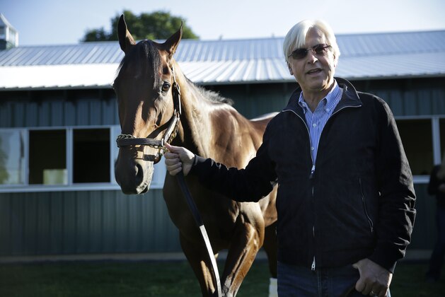 Trainer Bob Baffert shows Triple Crown winner American Pharoah to members of the media at Belmont Park in Elmont, N.Y., Sunday, June 7, 2015. American Pharoah won the Belmont Stakes to become the first horse to win the Triple Crown in 37 years. (AP Photo/Seth Wenig)