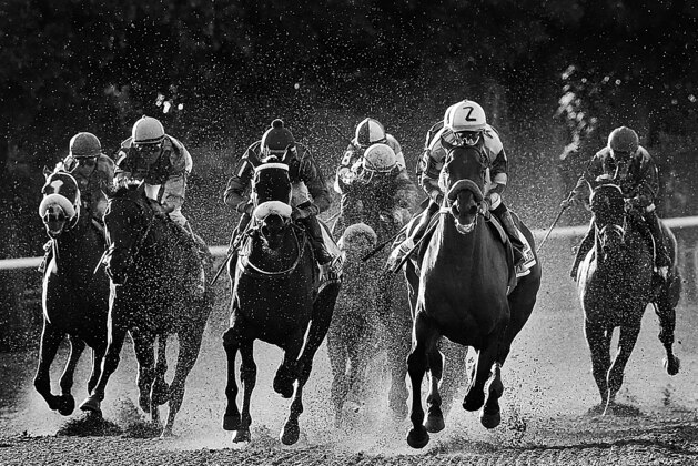 ELMONT, NY - JUNE 06:  American Pharoah #5, ridden by Victor Espinoza, leads the field out of the fourth turn during the 147th running of the Belmont Stakes at Belmont Park on June 6, 2015 in Elmont, New York.  (Photo by Elsa/Getty Images)