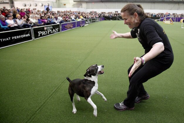February 8, 2014; New York, NY, USA; Karen Profenna with her dog Hailey during the Masters Agility Championship at Westminster at Pier 94. Mandatory Credit: Aristide Economopoulos/THE STAR LEDGER via USA TODAY Sports