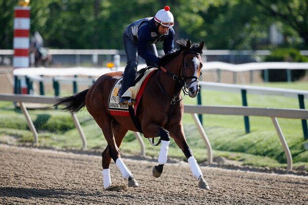 BALTIMORE, MD - MAY 14: Danzig Moon trains on the track for the 140th Preakness Stakes at Pimlico Race Course on May 14, 2015 in Baltimore, Maryland.  (Photo by Rob Carr/Getty Images)