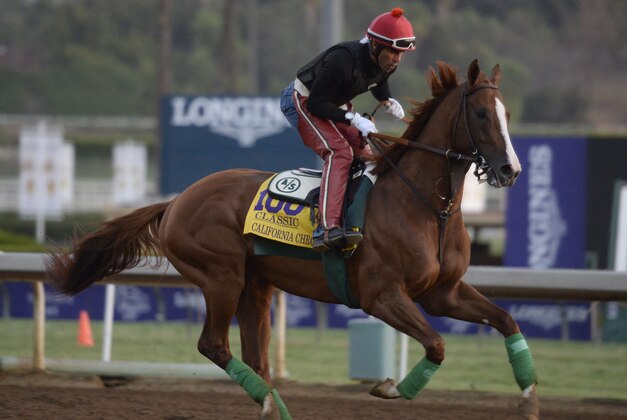 Oct 30, 2014; Santa Anita, CA, USA; California Chrome works out in the morning to prepare for the 31st Breeders Cup World Championships at Santa Anita Park. Mandatory Credit: Richard Mackson-USA TODAY Sports