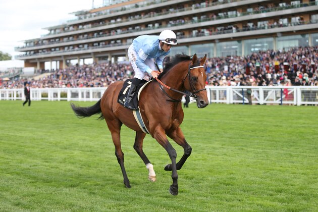 Japanese race horse Speilberg takes part in the Prince of Wales Stakes on the second day of  Royal Ascot horse racing meet at Ascot, England, Wednesday, June 17, 2015. Royal Ascot is the annual five day horse race meeting that Britain's Queen Elizabeth II attends every day of the event. (AP Photo/Alastair Grant)