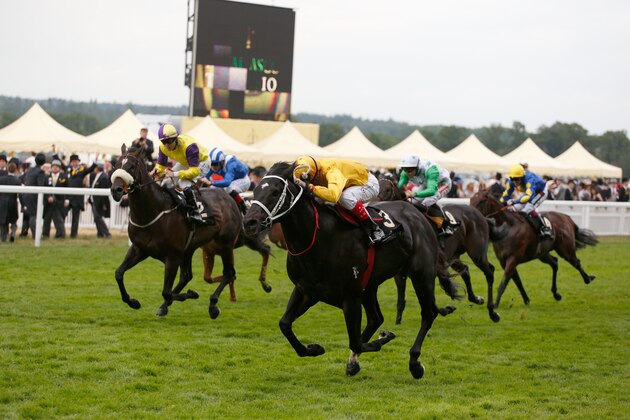 ASCOT, ENGLAND - JUNE 20:  Brazen Beau ridden by Craig Williams who came second in the Diamond Jubilee Stakes during Royal Ascot 2015 at Ascot racecourse on June 20, 2015 in Ascot, England.  (Photo by Alan Crowhurst/Getty Images for Ascot Racecourse)