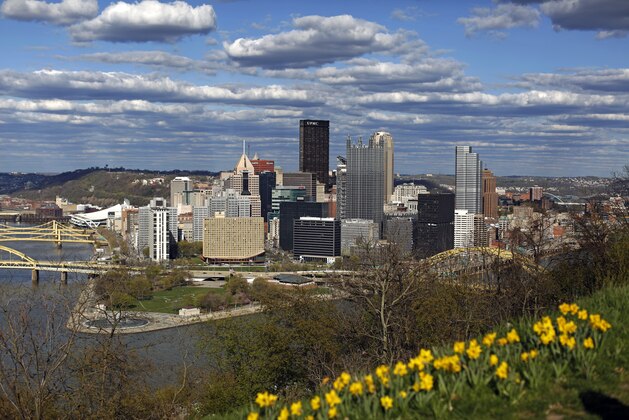 Daffodils grow on Mount Washington overlooking the skyline of downtown Pittsburgh, at the confluence of the Monongahela River, right, Allegheny River, left, to form the Ohio River, Sunday, April 26, 2015. (AP Photo/Gene J. Puskar)