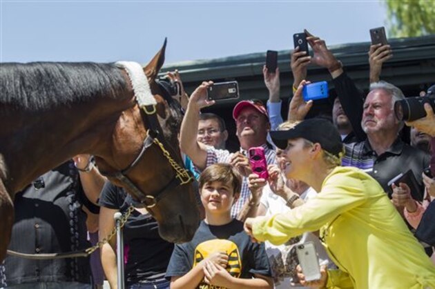 FILE - In this June 18, 2015, file photo, fans take photos and greet Triple Crown winner American Pharoah after the horse arrived at Santa Anita Park in Arcadia, Calif. Since American Pharoah completed his sweep of the Kentucky Derby, Preakness and Belmont Stakes, the past few weeks have turned into a whirlwind of appearances, events and parties around the country for owner Ahmed Zayat, trainer Bob Baffert and jockey Victor Espinoza. American Pharoah, too.  (AP Photo/Ringo H.W. Chiu, File)