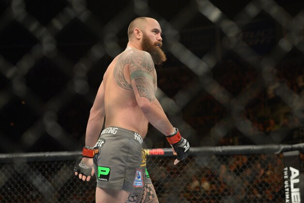 Dec 6, 2014; Las Vegas, NV, USA; Travis Browne (red) and Brendan Schaub (blue) during UFC 181 at Madalay Bay Events Center. Browne won via first round TKO. Mandatory Credit: Joe Camporeale-USA TODAY Sports