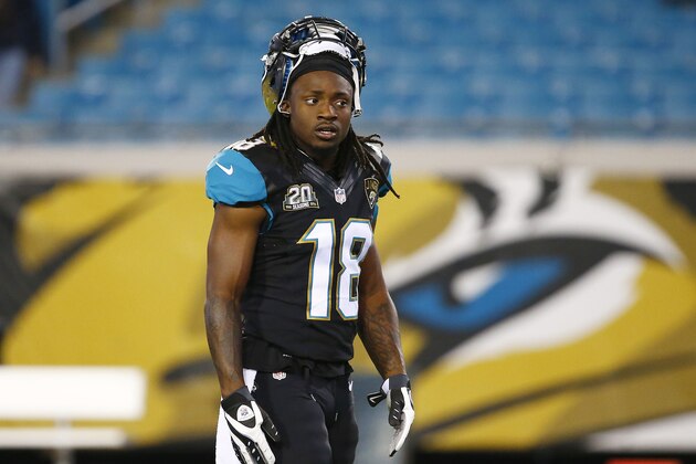 JACKSONVILLE, FL - DECEMBER 18:   Ace Sanders #18 of the Jacksonville Jaguars looks on during warm ups prior to their game against the Tennessee Titans at EverBank Field on December 18, 2014 in Jacksonville, Florida.  (Photo by Sam Greenwood/Getty Images)