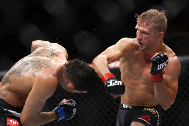 TJ Dillashaw, right, lands a punch to the head of Renan Barao during their bantamweight mixed martial arts title bout during UFC Chicago on Saturday, July 25, 2015, in Chicago. Dillashaw won in the fourth round. (AP Photo/Jeff Haynes)