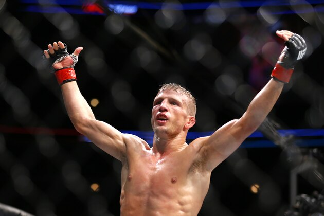 TJ Dillashaw celebrates after defeating Renan Barao during their bantamweight mixed martial arts title bout during UFC Chicago on Saturday, July 25, 2015, in Chicago. (AP Photo/Jeff Haynes)