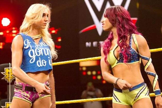 Charlotte and Sasha Banks will serve as the cornerstones of the Divas division for years to come.