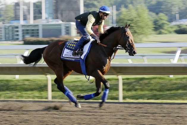 Triple Crown winner American Pharoah with Jorge Alvarez up trains at Monmouth Park in Oceanport, N.J., Saturday, Aug. 1, 2015. American Pharoah is preparing for Sunday's running of the Haskell Invitational horse race. (AP Photo/Mel Evans)