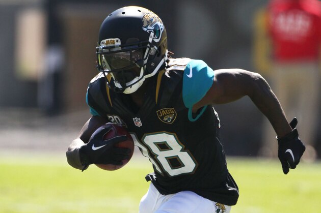 Ace Sanders #18 of the Jacksonville Jaguars runs the ball during an NFL football game between the Miami Dolphins and the Jacksonville Jaguars, Sunday, Oct. 26, 2014, in Jacksonville, Fla. (Photo by Marc Serota/Panini)