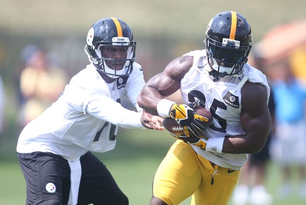 Jul 27, 2015; Latrobe, PA, USA; Pittsburgh Steelers quarterback Tyler Murphy (L) and running back Josh Harris (25) participate in drills during training camp at Saint Vincent College. Mandatory Credit: Charles LeClaire-USA TODAY Sports