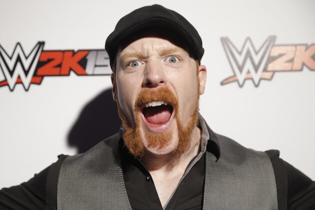 WWE Superstar Sheamus attends the WWE 2K15 SummerSlam Confidential Panel at Club Nokia, on Saturday, August 16, 2014 in Los Angeles. (Photo by Todd Williamson/Invision for 2K/AP Images)