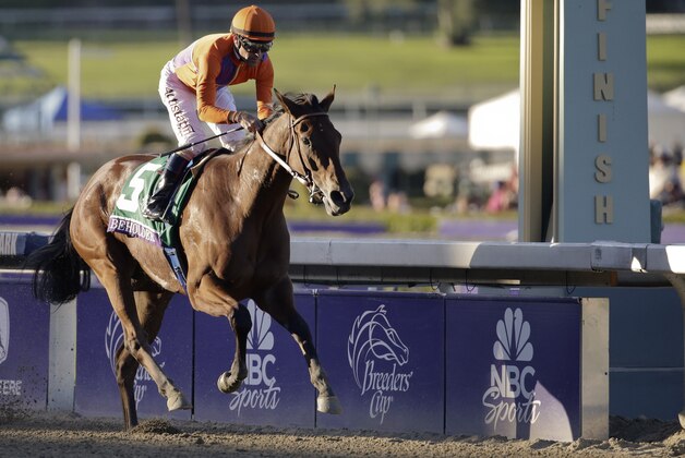 Beholder ridden by jockey Gary Stevens wins the Breeders' Cup Distaff horse race at Santa Anita Park Friday, Nov. 1, 2013, in Arcadia, Calif. (AP Photo/Jae C. Hong)