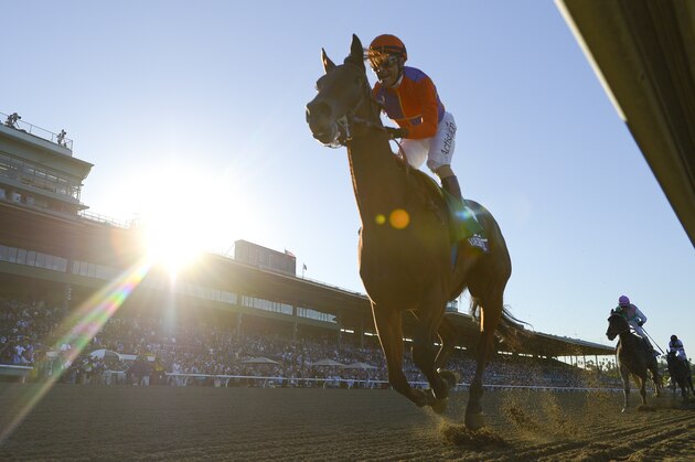 Beholder ridden by jockey Gary Stevens wins the Breeders' Cup Distaff horse race at Santa Anita Park Friday, Nov. 1, 2013, in Arcadia, Calif. (AP Photo/Mark J. Terrill)