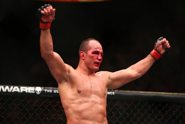 December 13, 2014; Phoenix, AZ, USA; Junior Dos Santos reacts following his fight against Stipe Miocic during UFC Fight Night at US Airways Center. Mandatory Credit: Mark J. Rebilas-USA TODAY Sports