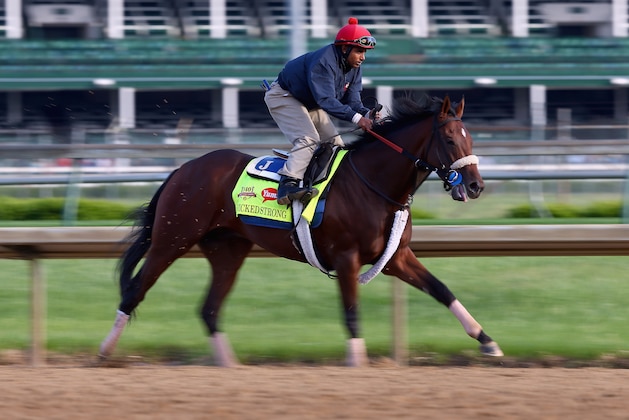 LOUISVILLE, KY - MAY 01:  Wicked Strong runs on the track during the morning training for the Kentucky Derby at Churchill Downs on May 1, 2014 in Louisville, Kentucky.  (Photo by Andy Lyons/Getty Images)