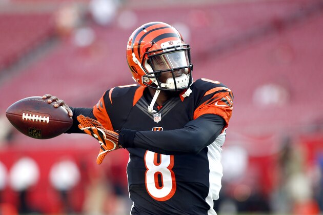 Cincinnati Bengals quarterback Josh Johnson (8) warms up before the start of an NFL preseason football game against the Tampa Bay Buccaneers Monday, Aug. 24, 2015, in Tampa, Fla. (AP Photo/Brian Blanco)