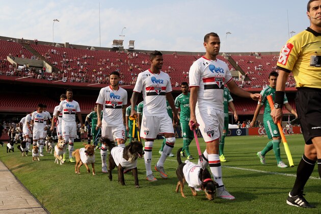 SAO PAULO, BRAZIL - SEPTEMBER 27: The team of Sao Paulo walks in with dogs during the match between Sao Paulo and Palmeiras for the Brazilian Series A 2015 at Estadio do Morumbi on September 27, 2015 in Sao Paulo, Brazil. (Photo by Friedemann Vogel/Getty Images)