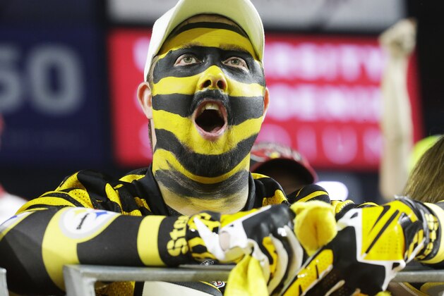 A Pittsburgh Steelers fan cheers during the second half of the NFL Football Pro Bowl Sunday, Jan. 25, 2015, in Glendale, Ariz. (AP Photo/Charlie Riedel)