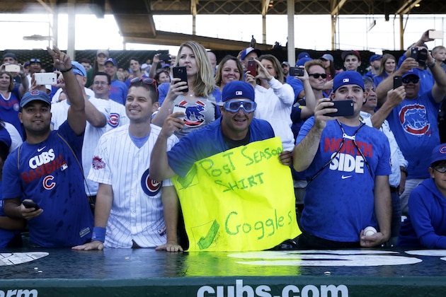 Chicago Cubs fans watch players celebrate the Cubs clinching a postseason berth after their 4-0 loss to the Pittsburgh Pirates in a baseball game Saturday, Sept. 26, 2015, in Chicago. (AP Photo/Nam Y. Huh)