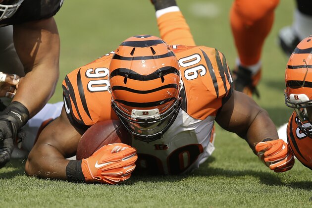 Cincinnati Bengals defensive end Michael Johnson (90) recovers a fumble by Oakland Raiders quarterback Matt McGloin during the second half of an NFL football game in Oakland, Calif., Sunday, Sept. 13, 2015. (AP Photo/Ben Margot)