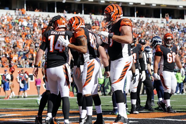 Oct 11, 2015; Cincinnati, OH, USA; Cincinnati Bengals quarterback Andy Dalton (14) celebrates with teammates after scoring a touchdown in the second half against the Seattle Seahawks at Paul Brown Stadium. The Bengals won 27-24. Mandatory Credit: Aaron Doster-USA TODAY Sports