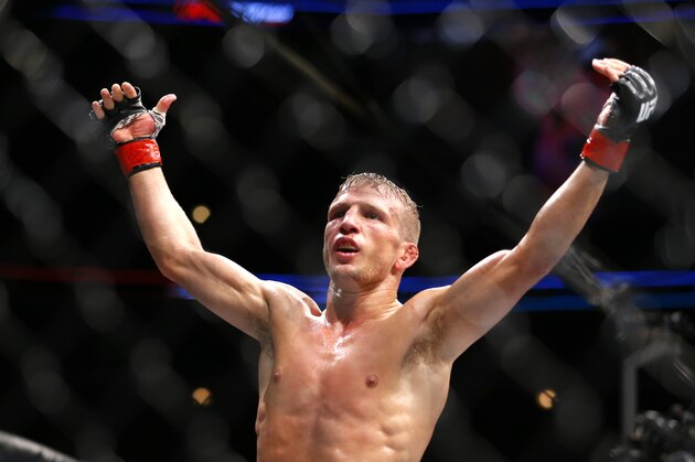TJ Dillashaw celebrates after defeating Renan Barao during their bantamweight mixed martial arts title bout during UFC Chicago on Saturday, July 25, 2015, in Chicago. (AP Photo/Jeff Haynes)