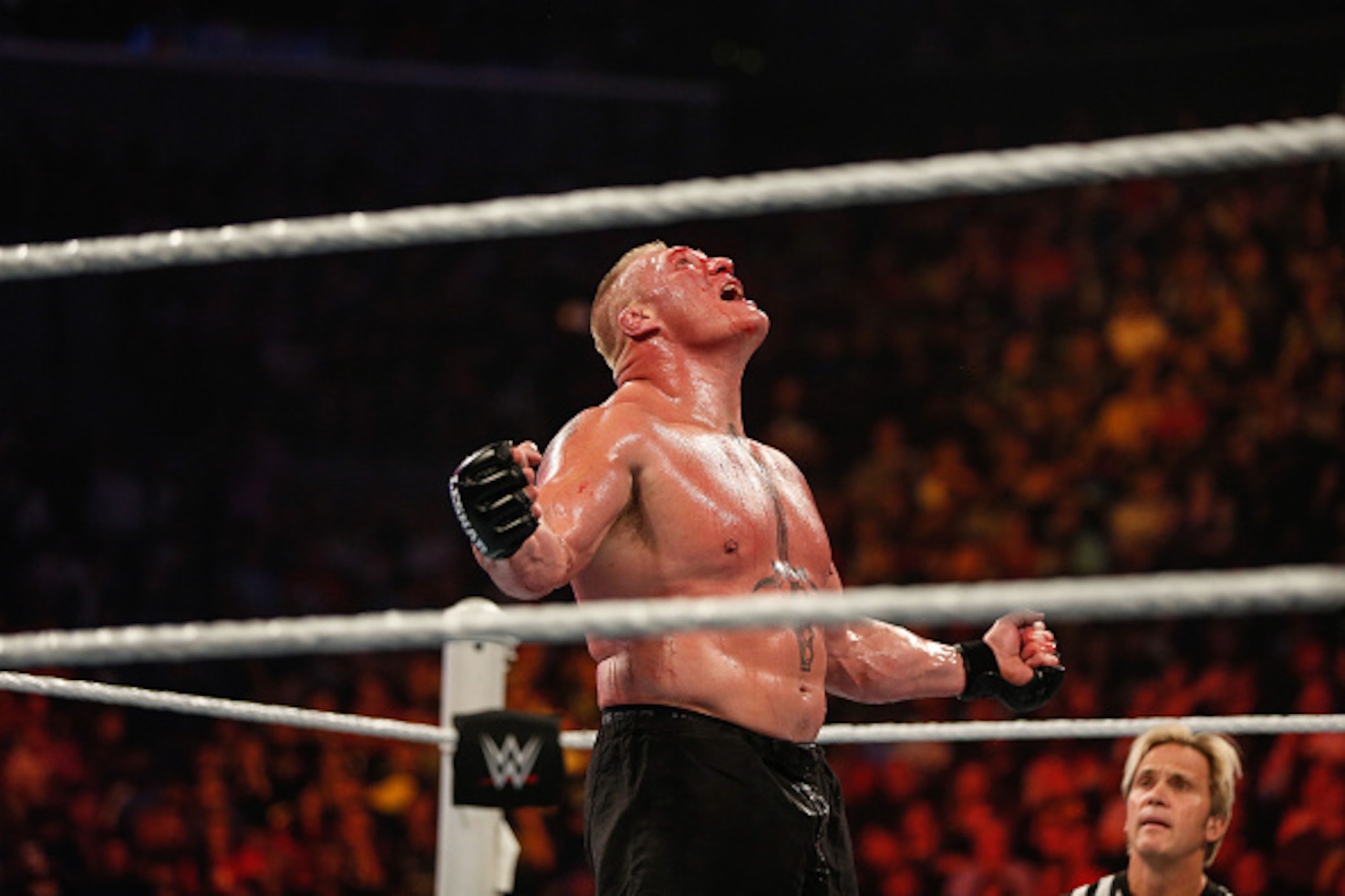NEW YORK, NY - AUGUST 23: Brock Lesnar in action during his fight against The Undertaker at the WWE SummerSlam 2015 at Barclays Center of Brooklyn on August 23, 2015 in New York City. (Photo by JP Yim/Getty Images) NEW YORK, NY - AUGUST 23: Brock Lesnar in action during his fight against The Undertaker at the WWE SummerSlam 2015 at Barclays Center of Brooklyn on August 23, 2015 in New York City. (Photo by JP Yim/Getty Images)