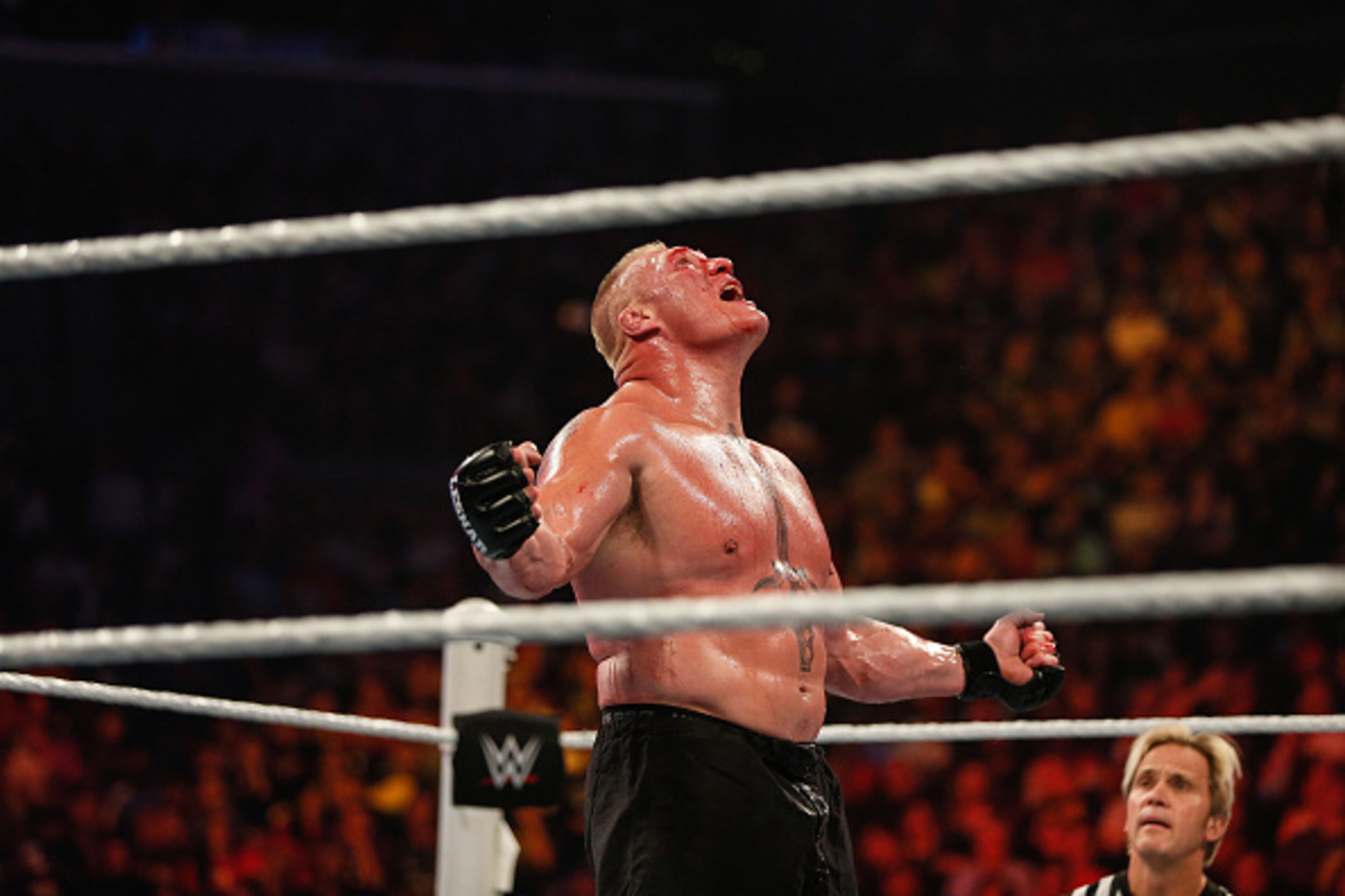 NEW YORK, NY - AUGUST 23:  Brock Lesnar in action during his fight against The Undertaker at the WWE SummerSlam 2015 at Barclays Center of Brooklyn on August 23, 2015 in New York City.  (Photo by JP Yim/Getty Images)