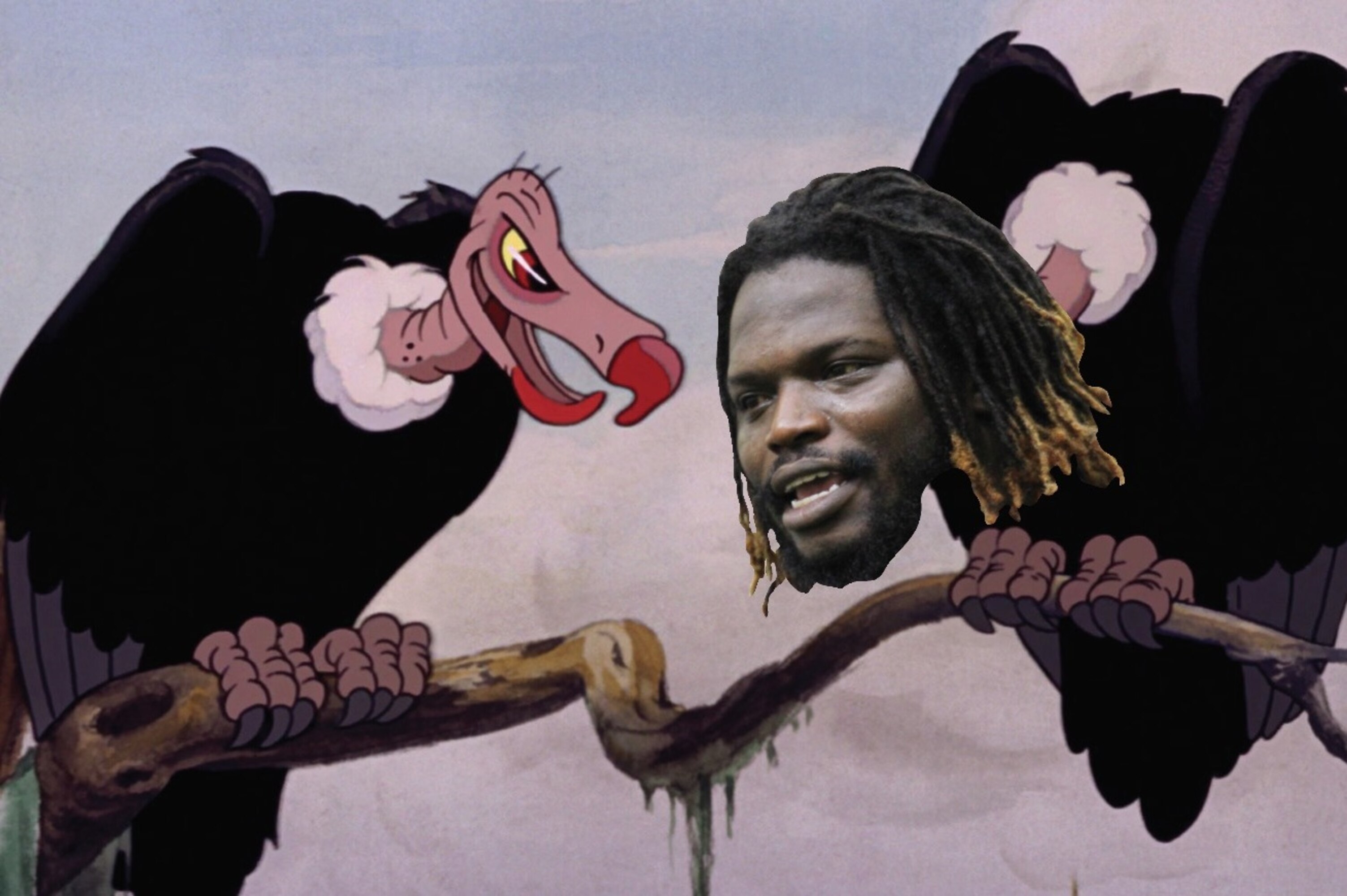 Old world vulture species in unusual combination, image size:3006x2000